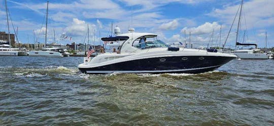 420 SEARAY LUXURY YACHT AVAILABLE FOR CUSTOMIZED HARBOR TOURS