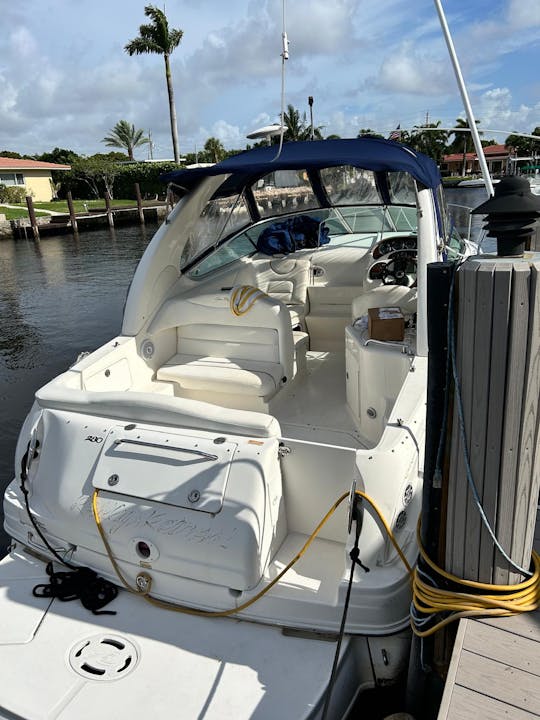 Nagez dans des bancs de sable, des ratons laveurs et des maisons de millionnaires : découvrez Miami 