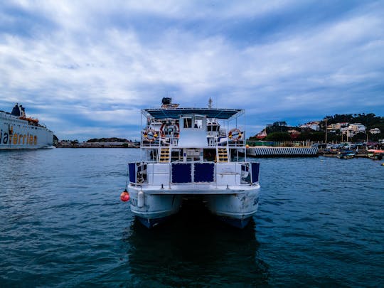 Enjoy A special 55ft Strider Catamaran to cruise in Mazatlan!!