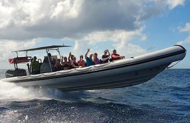 Adrenaline experience! Charter a Powerboat RIB In Curaçao