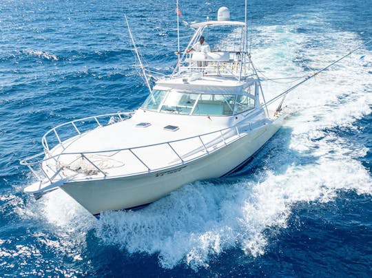 Barco Viking de 43 pés - Barco elegante e poderoso, incrível para pesca e mergulho com snorkel