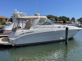 Amazing Sea Ray Sundancer 44 Motor Yacht Rental for 13 Guests in Miami, Florida!