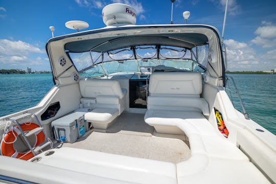 ¡Increíble Sea Ray de 46 pies en Fort Lauderdale! ¡Mejor tripulación!