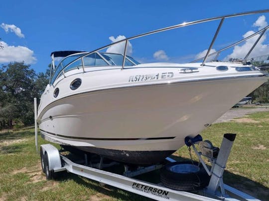 Sea ray sundancer 240 con habitación y aire acondicionado