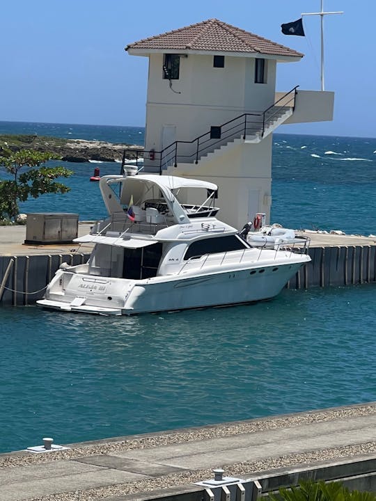 55' Sea Ray Flybridge Predator || Luxury Yacht in Miami