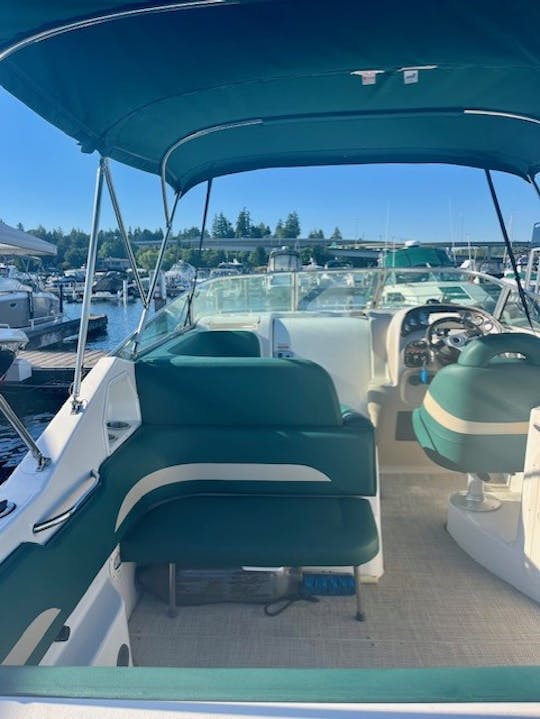 Cruise and Play on Lake Washington with Chaparral Signature 260 