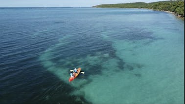 Kayak Rental Experience