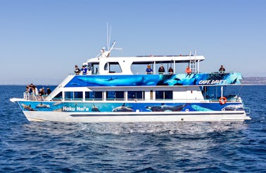 Upscale Power Catamaran for Whale Watching & More in Dana Point