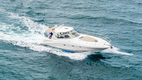 Iate a motor Sea Ray de 42 pés para 12 pessoas na República Dominicana