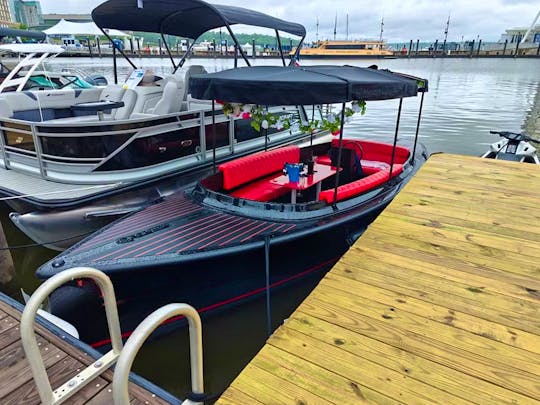 Black and Red Electric Fantail 100% Electric Boat in Norfolk, Virginia