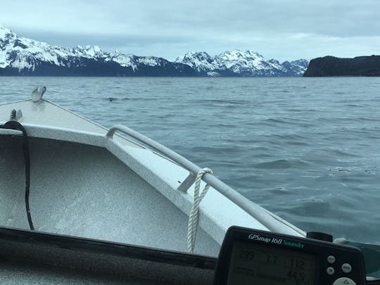 21' Aluminum Runabout rental in Seward, Alaska