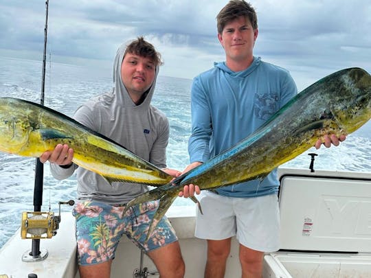 Pesca en alta mar en Bertram de 43 pies en Nassau, Bahamas