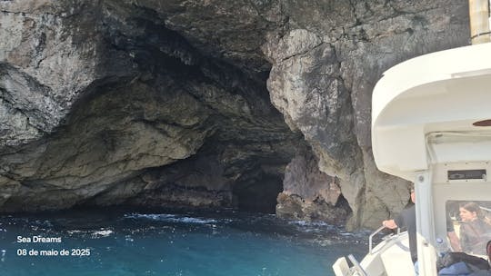 Parque Marinho Luiz Saldanha: um paraíso à espera de ser descoberto