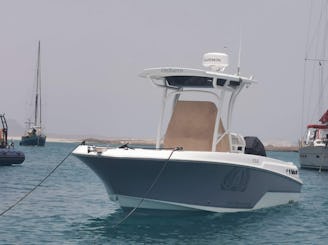 Dia inteiro de pesca em alto mar