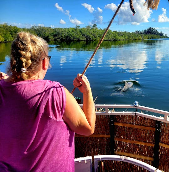 Dolphin & Manatee Sightseeing Cruise in Cocoa Beach, Florida