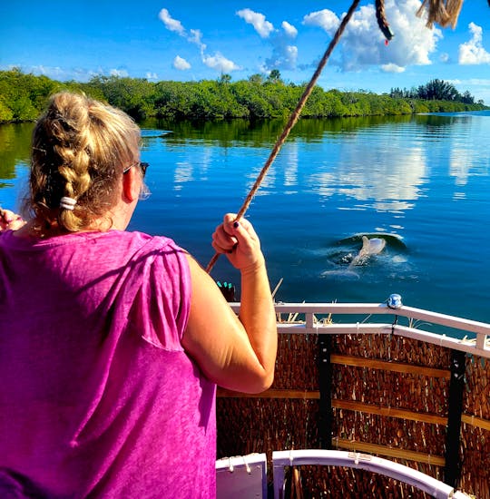 Dolphin & Manatee Sightseeing Cruise in Cocoa Beach, Florida