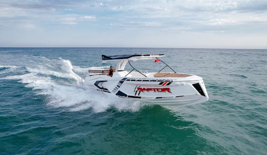 Alestra Marine Raptor Excursion Boat