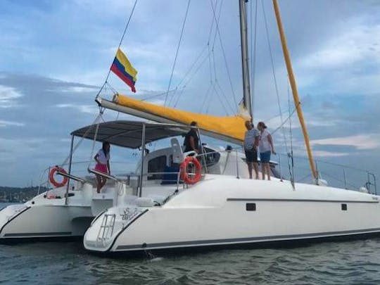 Great Sailing Catamaran for up to 25 people!