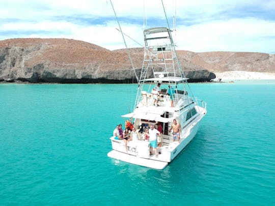 Espiritu Santo and Balandra Island Excursion with Bertram 38 III Yacht!