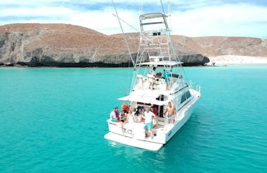 Espiritu Santo and Balandra Island Excursion with Bertram 38 III Yacht!