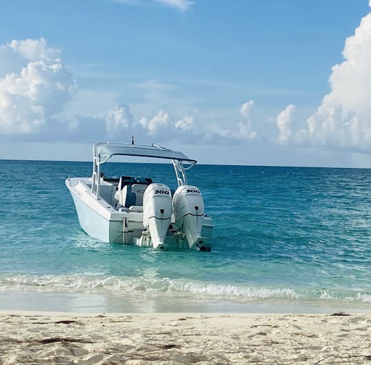 Dia de praia privado perfeito com console central de 29 pés!