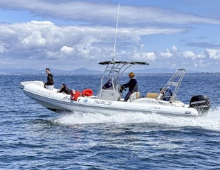 26' SACS 300 HP Power Boat Scout, BYOB, and Licensed Captain