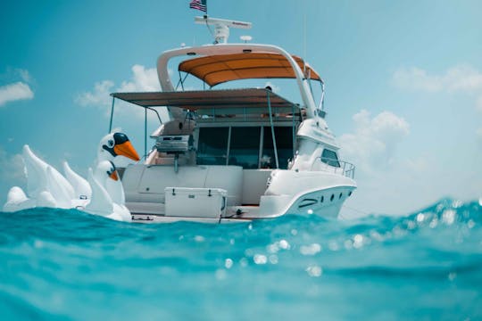 Deal of the Week! 50' Sea Ray Yacht for Rent in Cancun, Mexico.