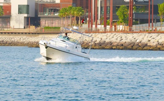 Confortable yacht Conway 2011 de 34 pieds pour 10 personnes à Dubaï