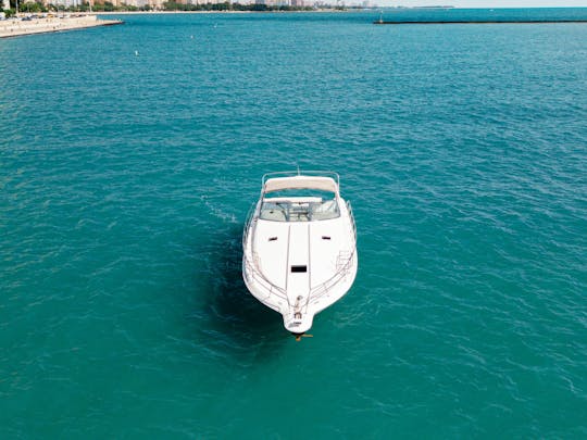 Enjoy Chicago in this 45' Sea Ray Express Cruiser Yacht - Perfect for Parties! 