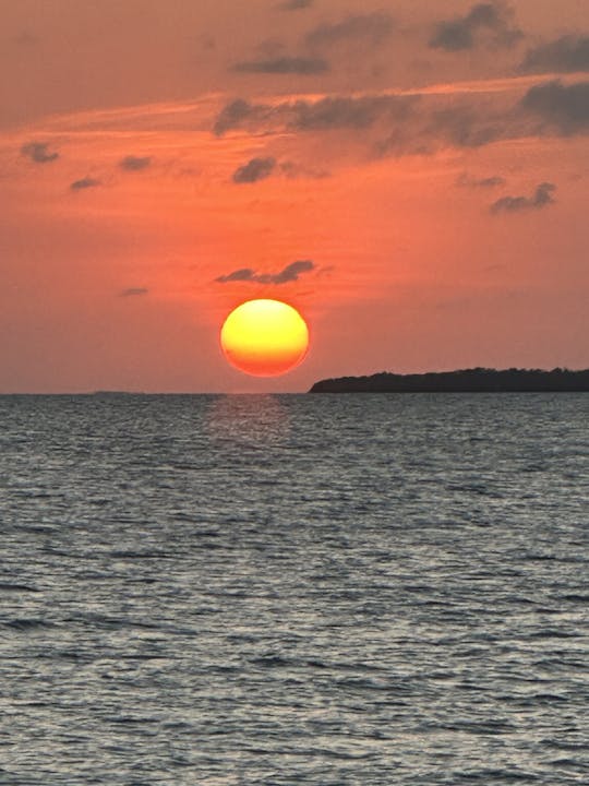 Sightseeing/Sunset/Booze/Dolphin Cruises/in Folly Beach, South Carolina