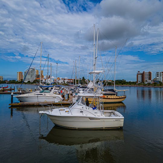 Alquiler de yates y pesca deportiva Luhrs de 36 pies en Mazatlán