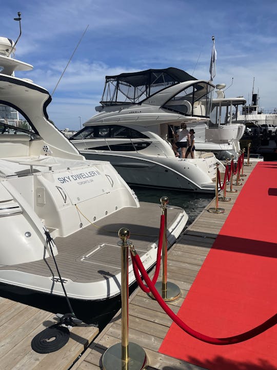**VIP** Ultra Party Yacht que puedes decorar