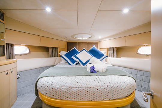 Descubra la belleza incomparable del mundo submarino con el Princess Yacht de 44 pies