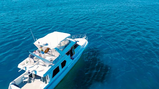 Beautiful 56’ Luxury Yacht with Stabilizers and Huge Flybridge