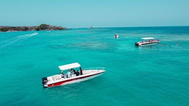 Experience the thrill of the Caribbean Sea on a sport boat