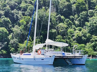 Magnifique catamaran de style polynésien