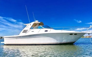 38' Sea Ray Boat for rent in Miami, FL, is ideal for entertaining!!!!