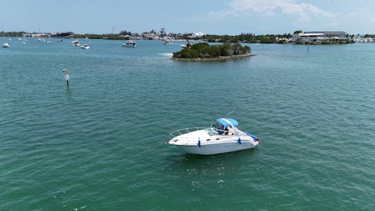 Passeio pela cidade de Miami em iate privado de 31 pés em Monterey, bela vista do rio, sem taxa extra.