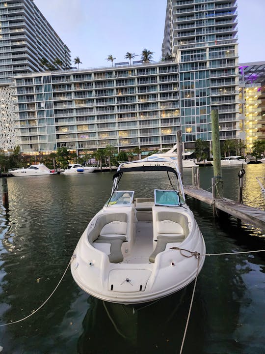 Sea Ray Sundeck 260 - Best Experience in Miami with restroom!!