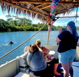 Croisière touristique avec les dauphins et les lamantins à Cocoa Beach, en Floride