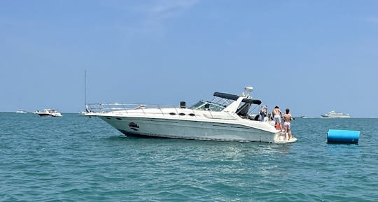 タイアップなし-40フィートプレミアムヨット-12人乗りのたくさんのルームグループ-DuSableHarbor