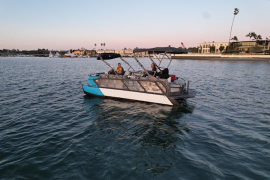 Crucero en pontón con vino y queso por Newport Beach