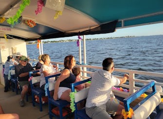 Excursion privée avec les dauphins à bord du Tritoon à 23 passagers