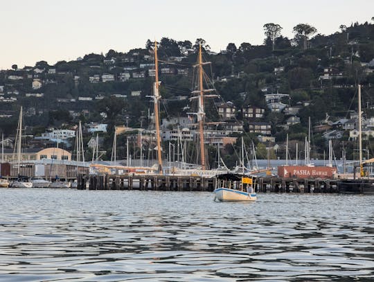 Location d'un bateau Duffy de 18 pieds à Sausalito - Autoportrait, sans permis ! (Bateau 4)