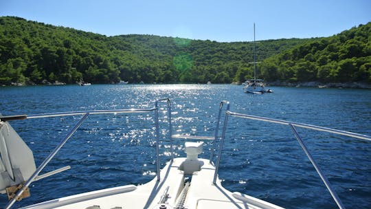 Bayliner 3587 Motoryacht for charter or daily tour with Novelty Tours