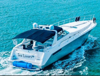 55' SEARAY SUNDANCER À Miami AVEC 30 MINUTES GRATUITES TOUS LES JOURS !