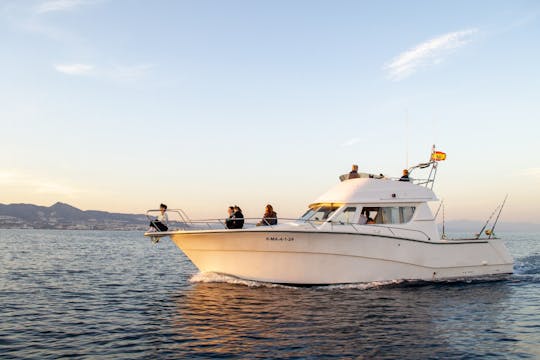 Dolphin watching on a yacht with snacks and drinks 