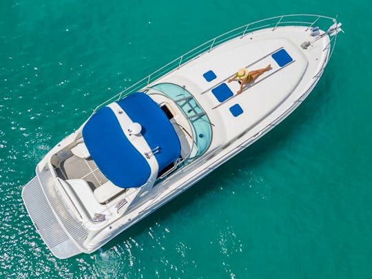 1 Free Hour ! Private Yacht - Sea Ray 40' ( Free Hour - Monday to Friday )