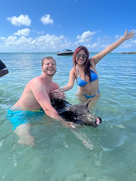 Snorkel at a tropical reef feed the swimming pigs have lunch at a floating bar 