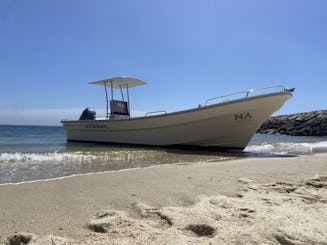  Setúbal, Tróia and Arrábida boat tour for up to 12 people